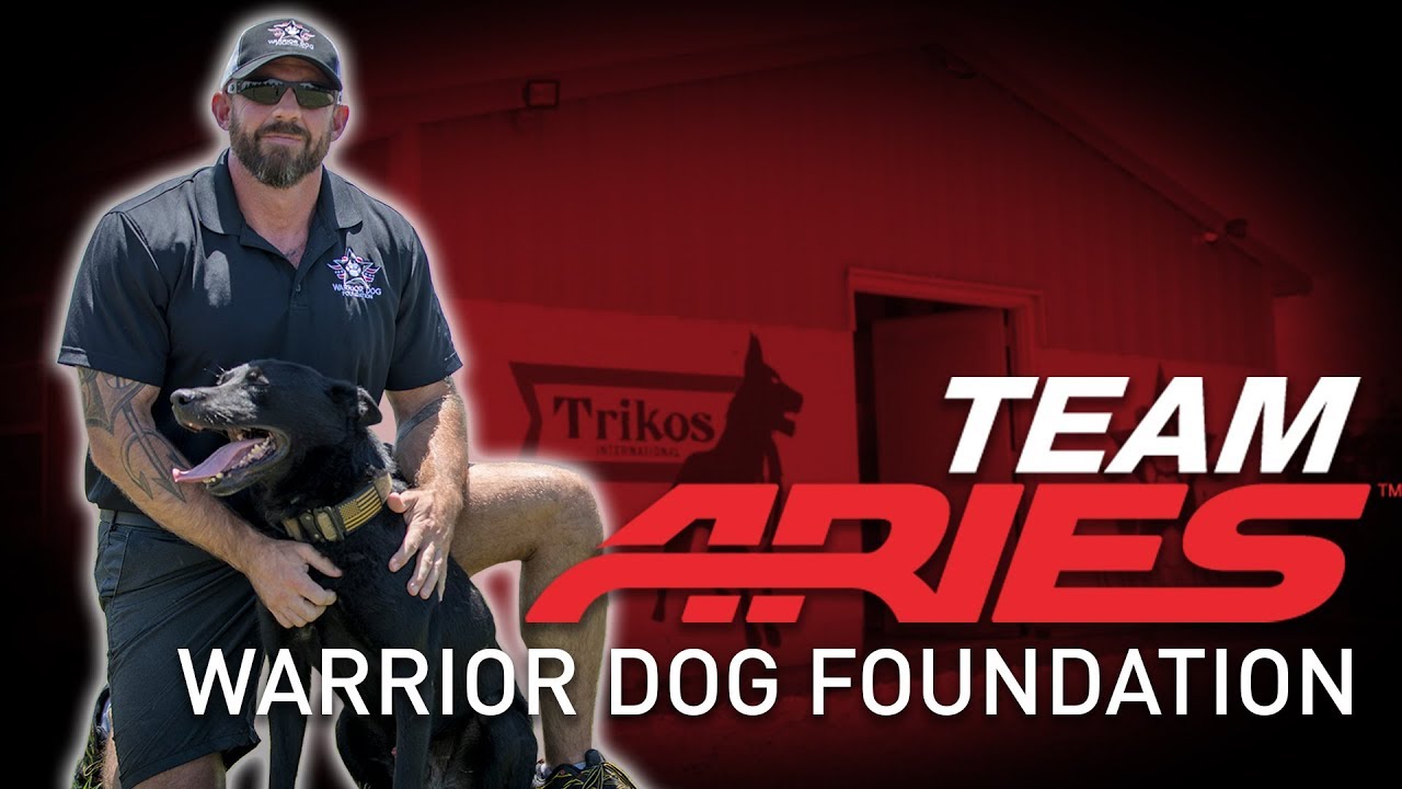 Warrior Dog Foundation | Spotlight | Team ARIES