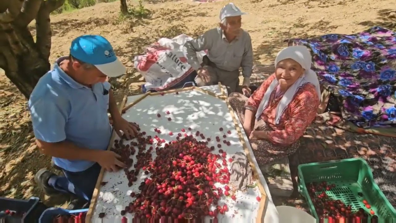 DEMİRCİ'nin YARBASAN KÖYÜNDE AYSEL AVCI ve BABASI İLHAN SİRGECİ İLE SOHBET 05-06-2024