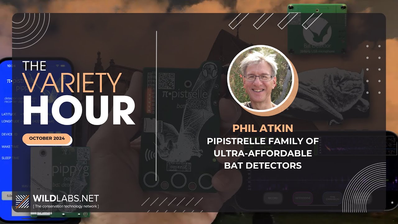 Phil Atkin: Pipistrelle family of ultra-affordable bat detectors
