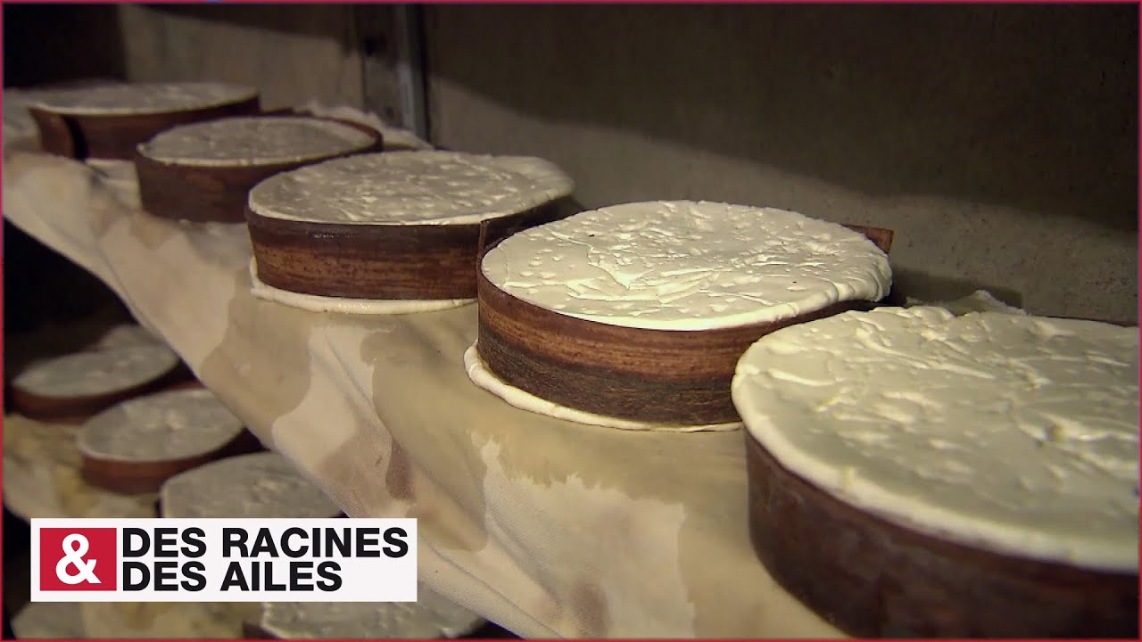 Le vacherin d'Abondance, création d'un fromage d'exception