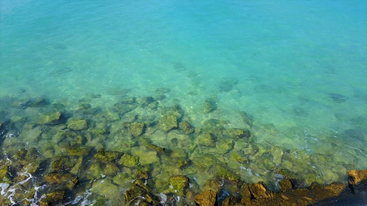 💎 🌊 Crystal Clear Underwater World |Aquarium-Like Sea Life | Relaxing Ocean & Calm Nature Sounds 🏖