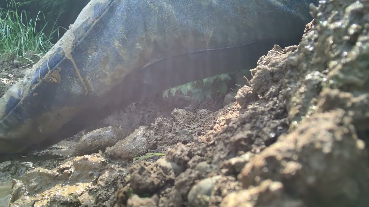 Vans jeans and white Kappa socks in the mud - part 2