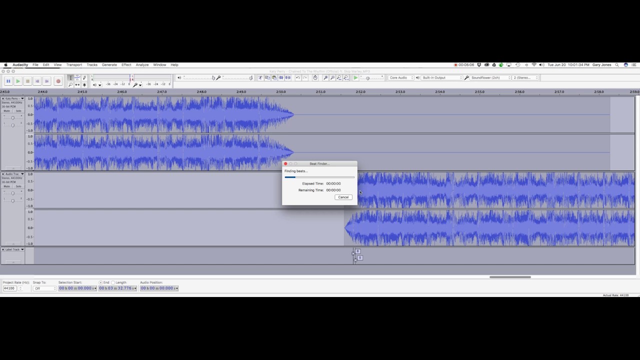 Audacity Tutorial How to remove rhythm drops and profanity