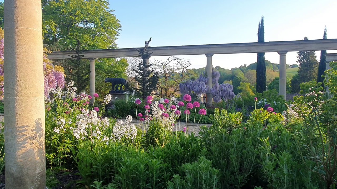 Three Minutes of Zen #3 - Wisteria, Alium and Honesty