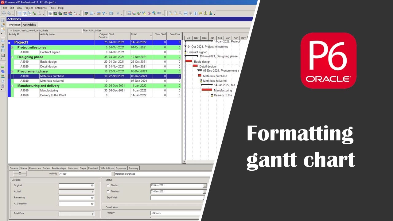 How to format gantt chart and gantt bars in Primavera P6