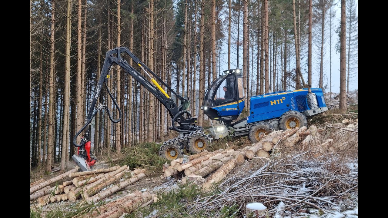 🌲4K|*ONboard* • Rottne Harvester • H11-D • Harvester in Action • Winterlogging • Forestmachine 🌲