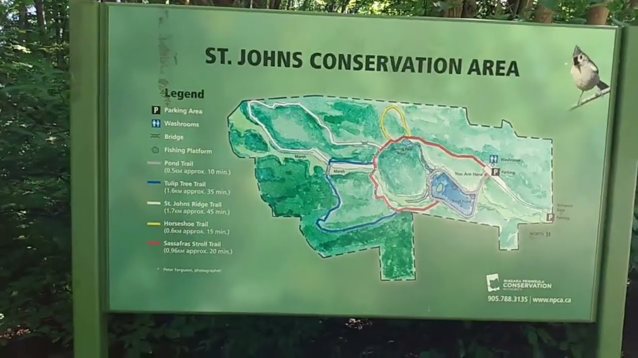 St.Johns Conservation Area Fishing