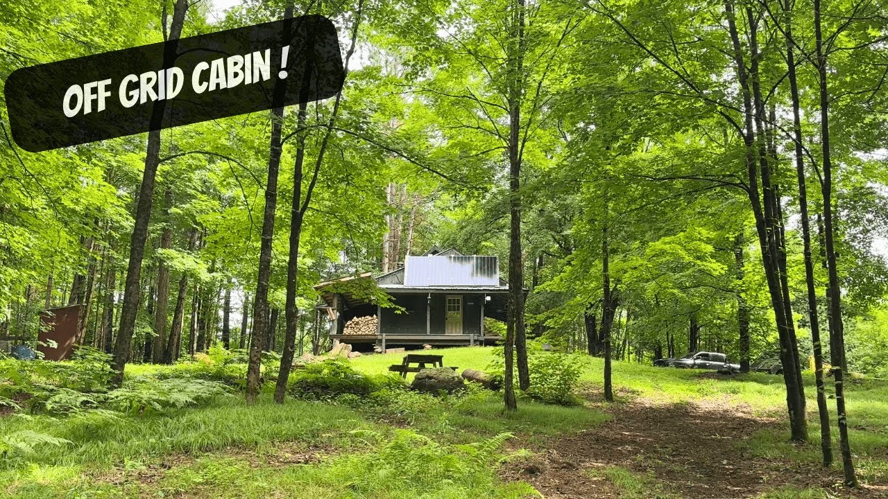 Summer Day At The Cabin!