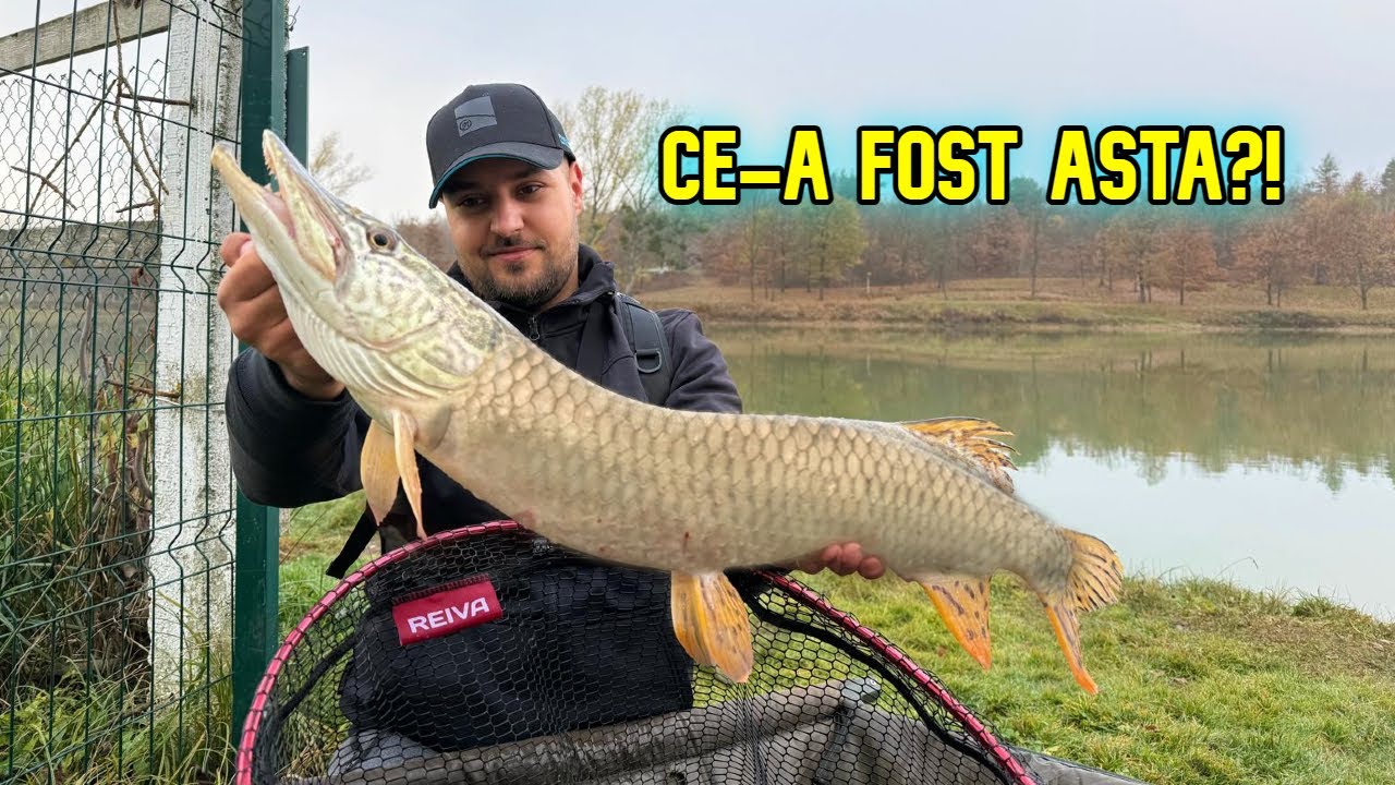 CEA MAI IMPREVIZIBILĂ PARTIDĂ de PESCUIT la ȘTIUCĂ! Nu mă așteptam să prind așa ceva