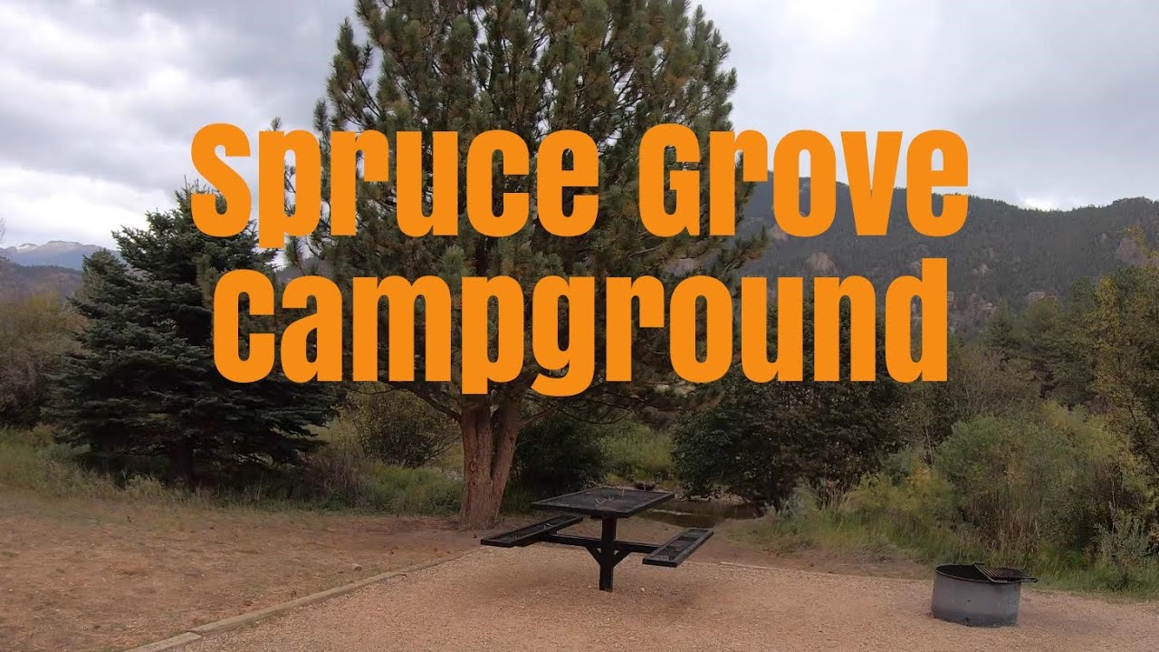 Spruce Grove Campground - Lake George Colorado