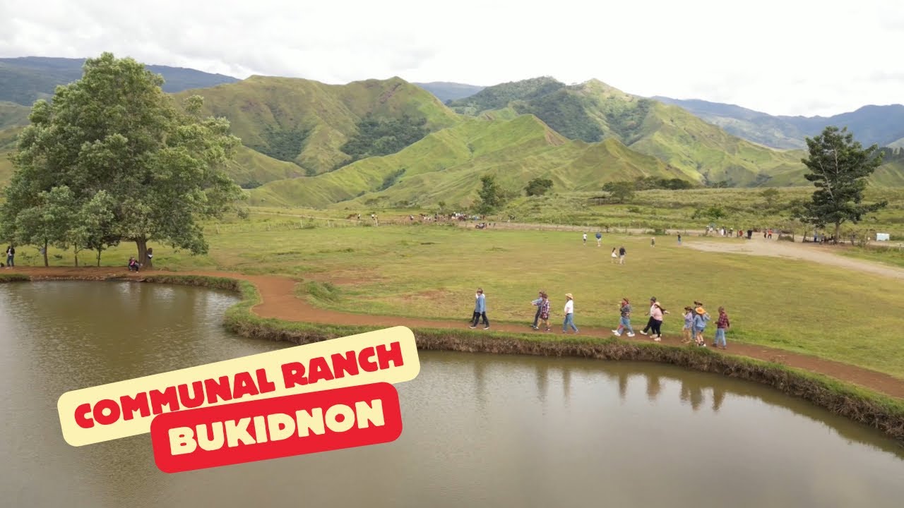 📍Communal Ranch, Impasug-ong, Bukidnon 
