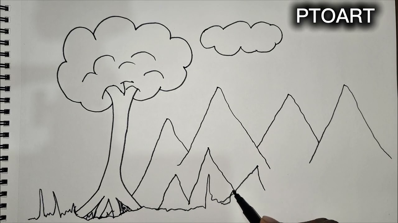 drawing made by pencil, sketch pro tutorial for beginners, realistic bird pencil drawing, proart.
