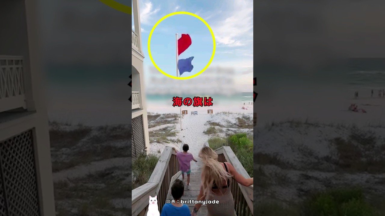 海の旗を無視してはいけない理由