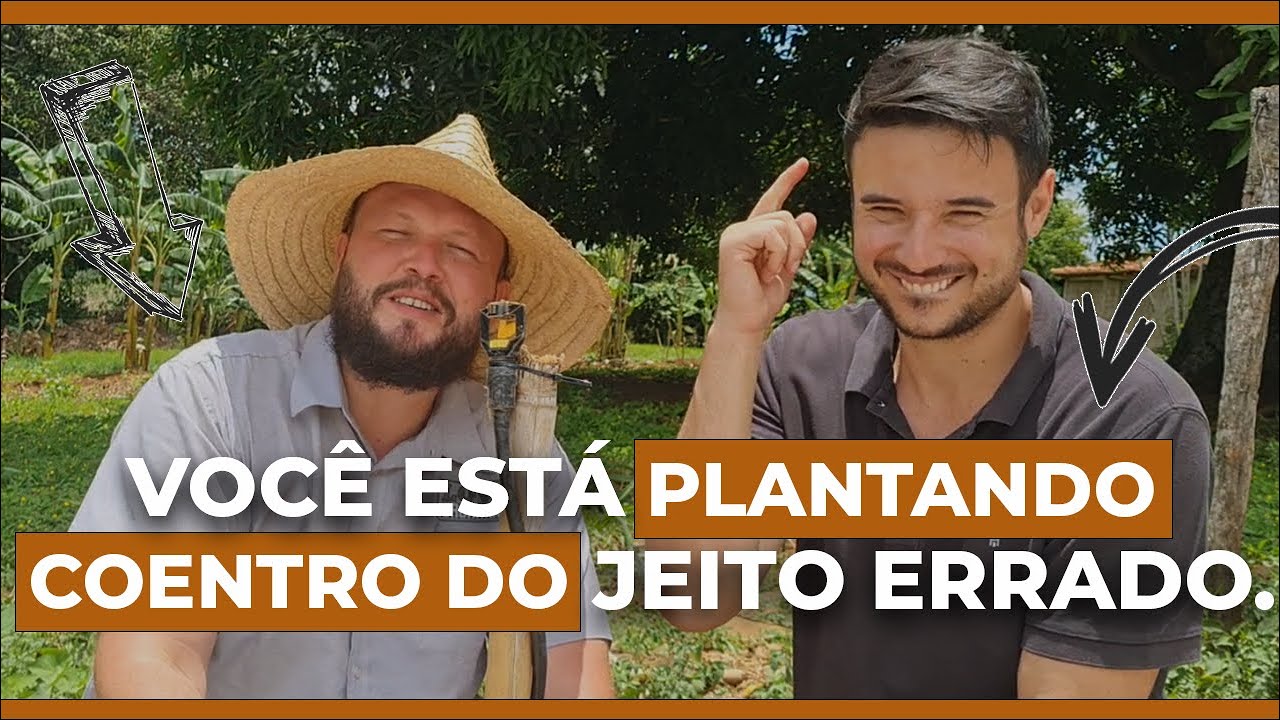 Como plantar coentro? S&oacute; plante Coentro depois de assistir esse v&iacute;deo