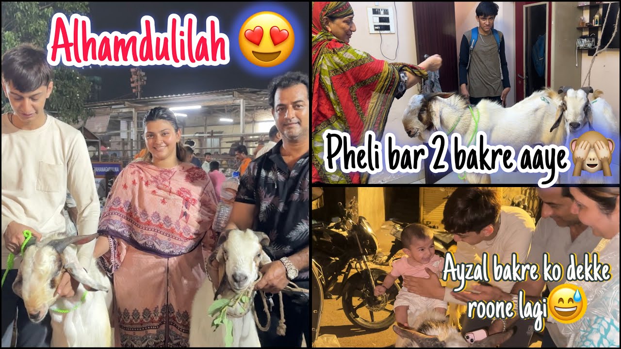 Alhamdulilah hamare ghar mai pheli bar 2 bakre aye😍Ayzal bakre ko dekke rone lagi💃deonar bakra mandi
