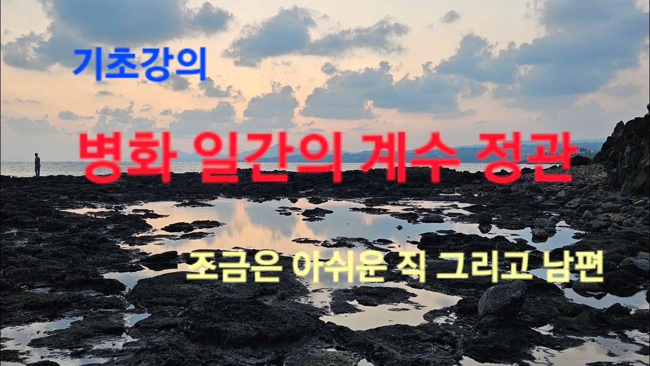 [기초 강의] 병화(丙火) 일간 - 정관 계수; 남편과 직이 정관으로 작용하는 구조