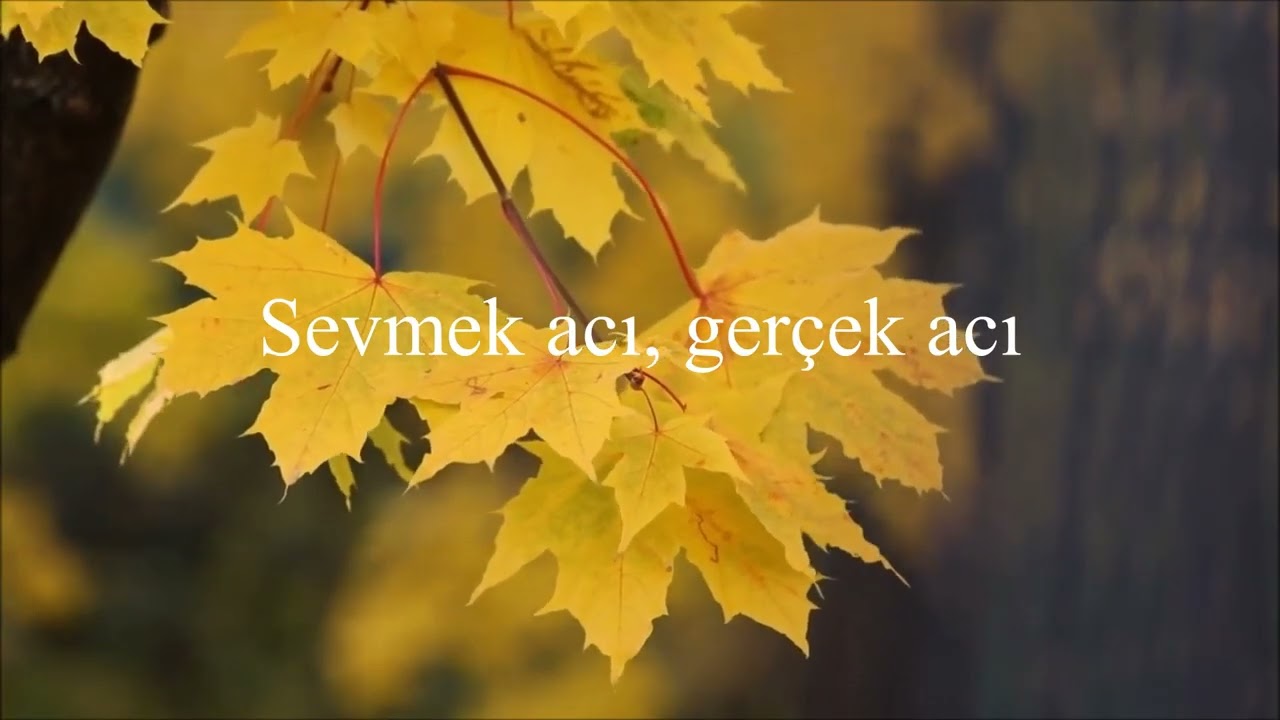 GÜLMEK İÇİN YARATILMIŞ KARAOE