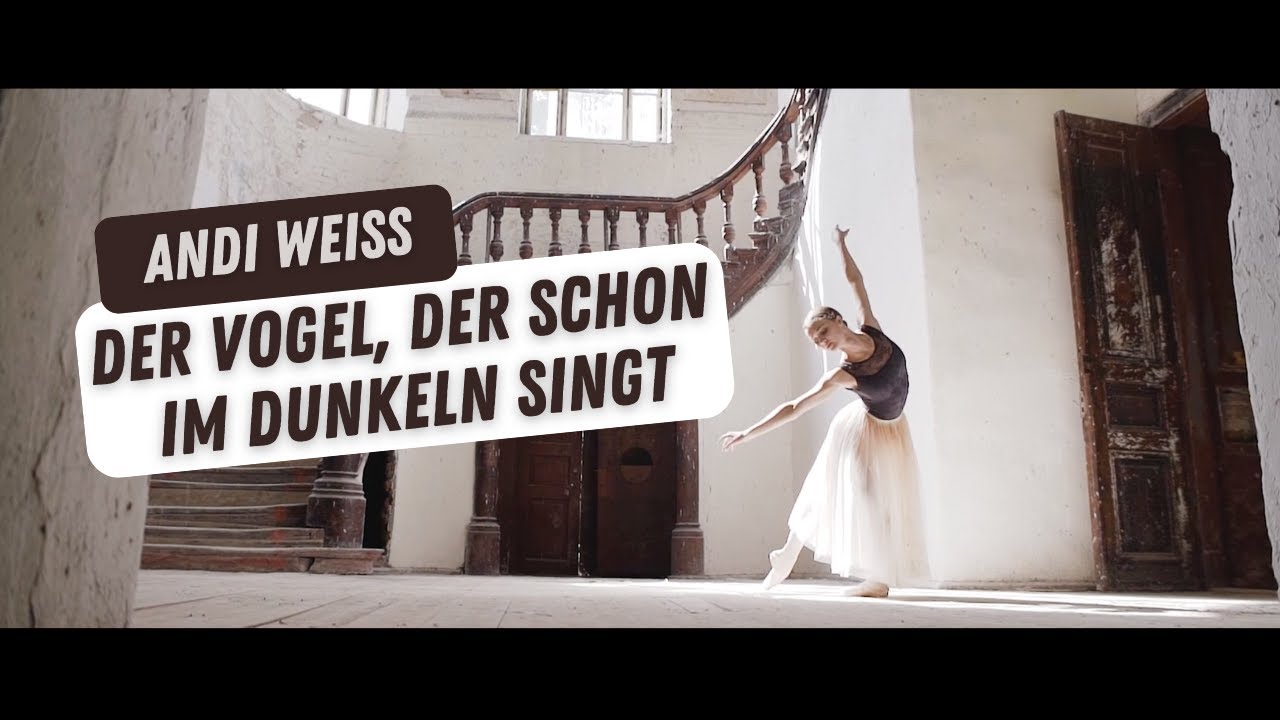 Der Vogel, der schon im Dunkeln singt (Andi Weiss) - offizielles Musikvideo
