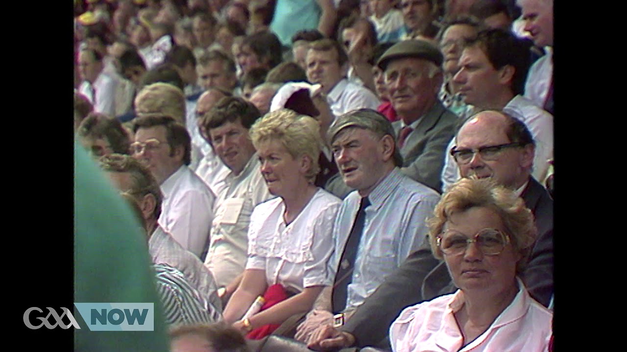 1989 All-Ireland SHC Semi-Final: Antrim v Offaly