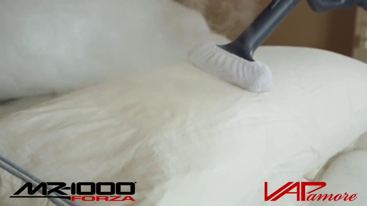 Vapamore MR 750 Ottimo For Killing Bed Bugs