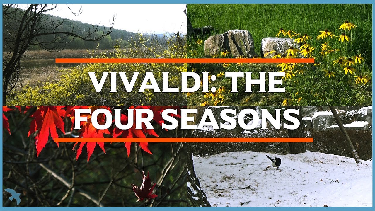 Vivaldi: The Four Seasons, Op. 8 Federico Agostini, I Musici 1990 비발디: 사계 전곡 페데리코 아고스티니, 이 무지치