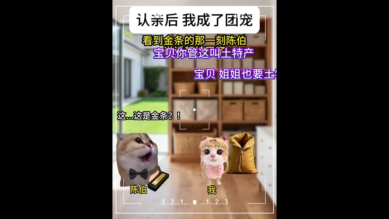 认亲后 我成了团宠 18-32