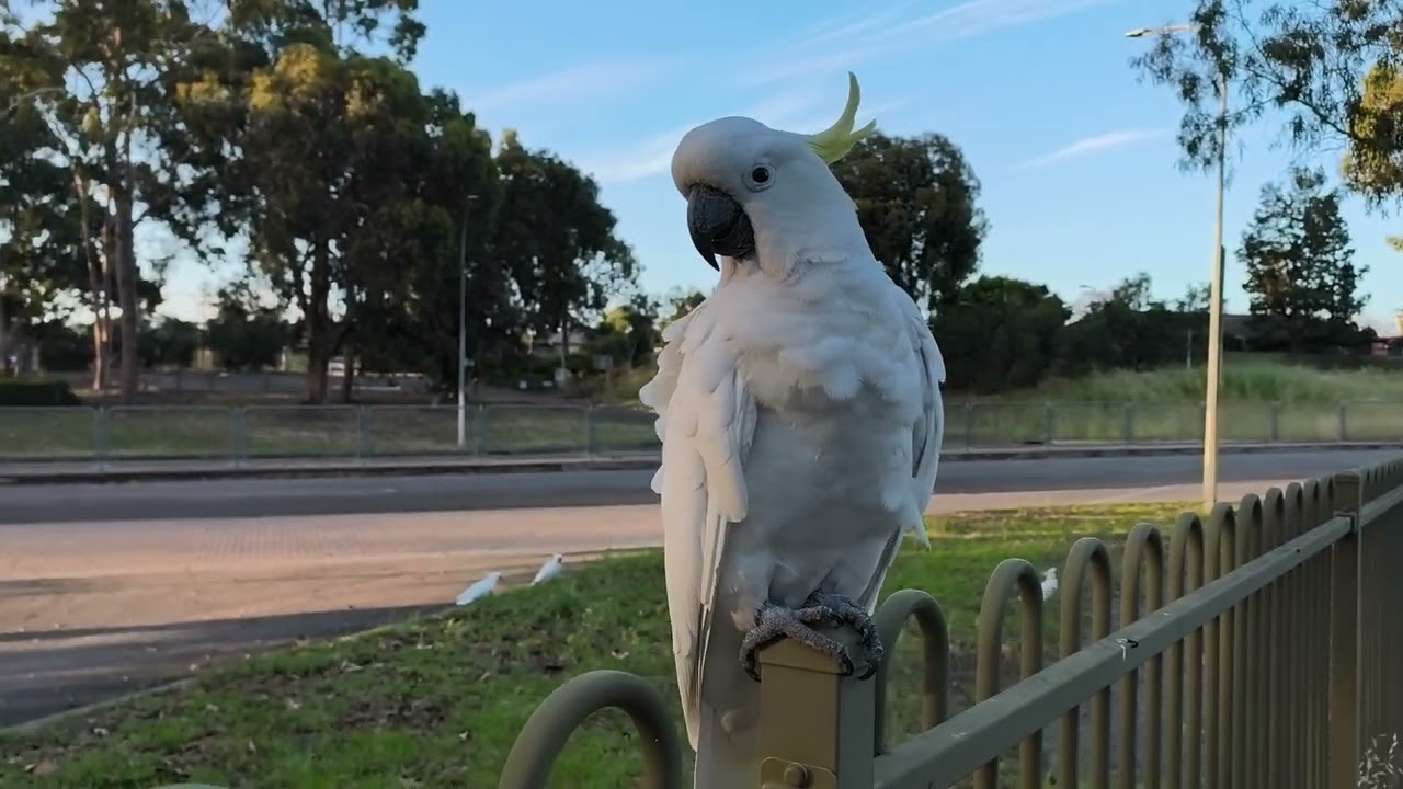 Evening jogging ...