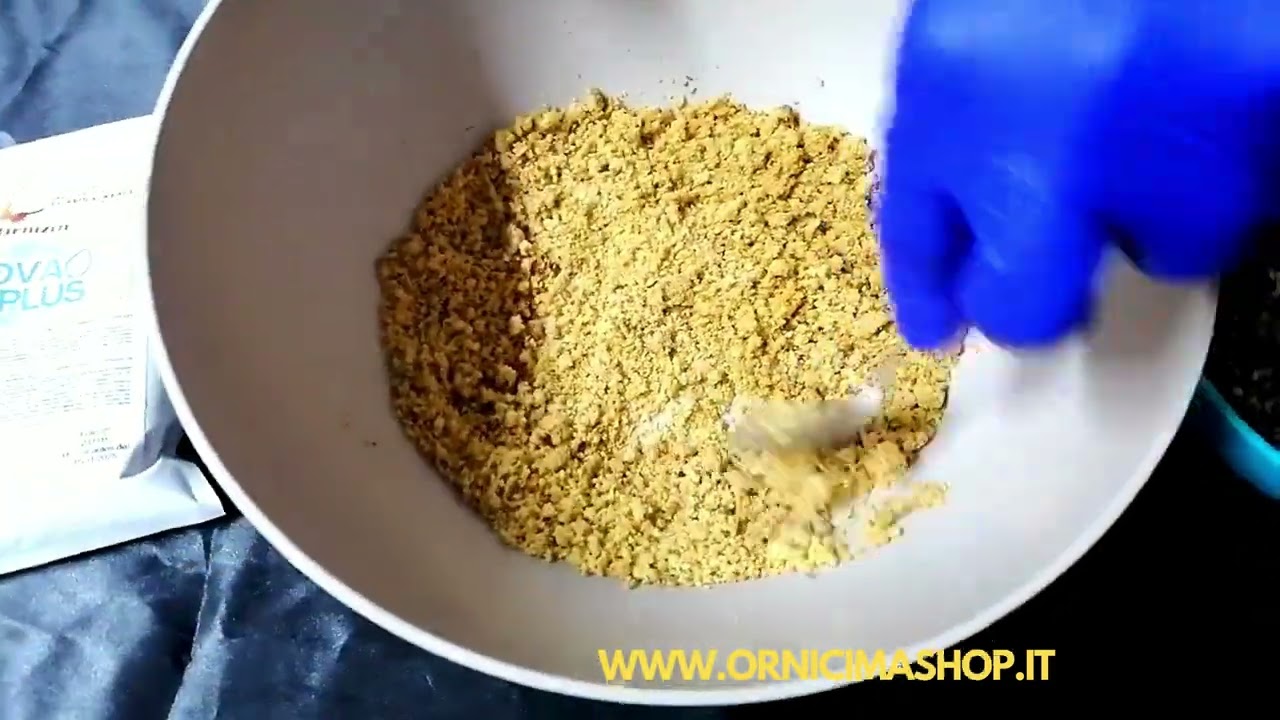 Pastonata ORNIZÍN Fringillidi e Balie
