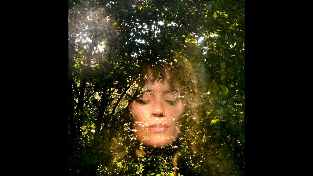 Jill Greenlee - Golden Meadow (Official Music Video)