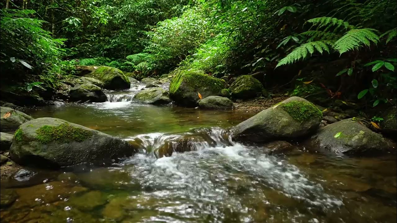 Green River ASMR 🌿 Flowing Water Sounds for Deep Relaxation