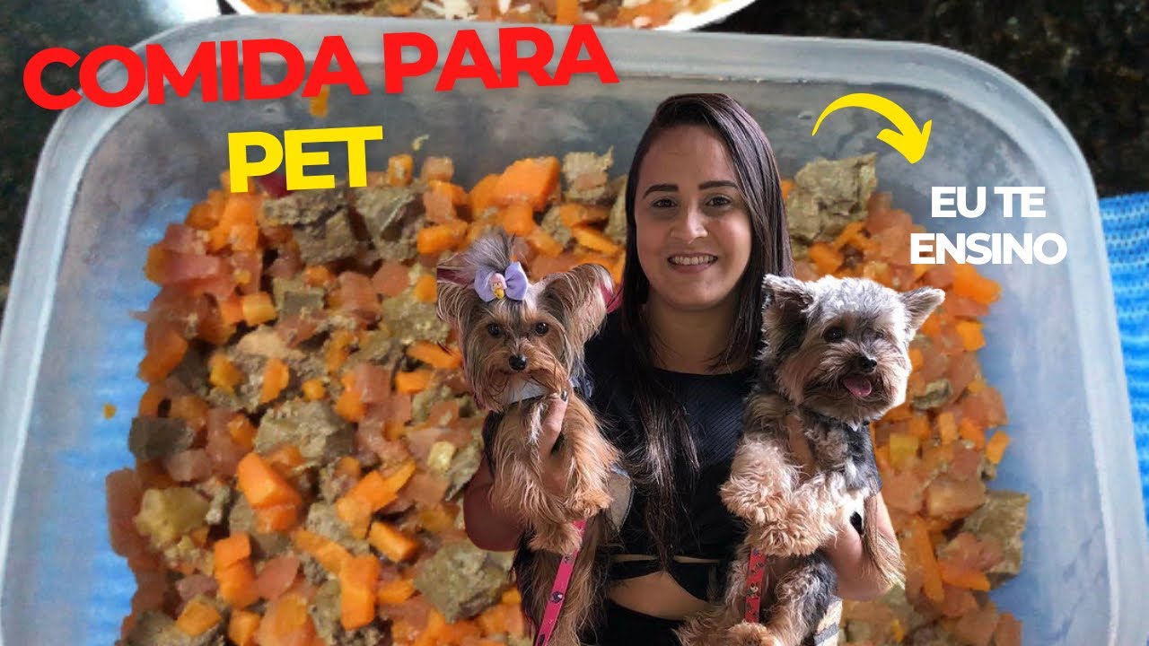 Comida super nutritiva para Pet || yorkshire || comida natural