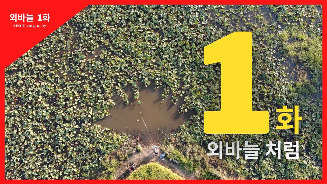 외바늘 1화 외바늘 처럼