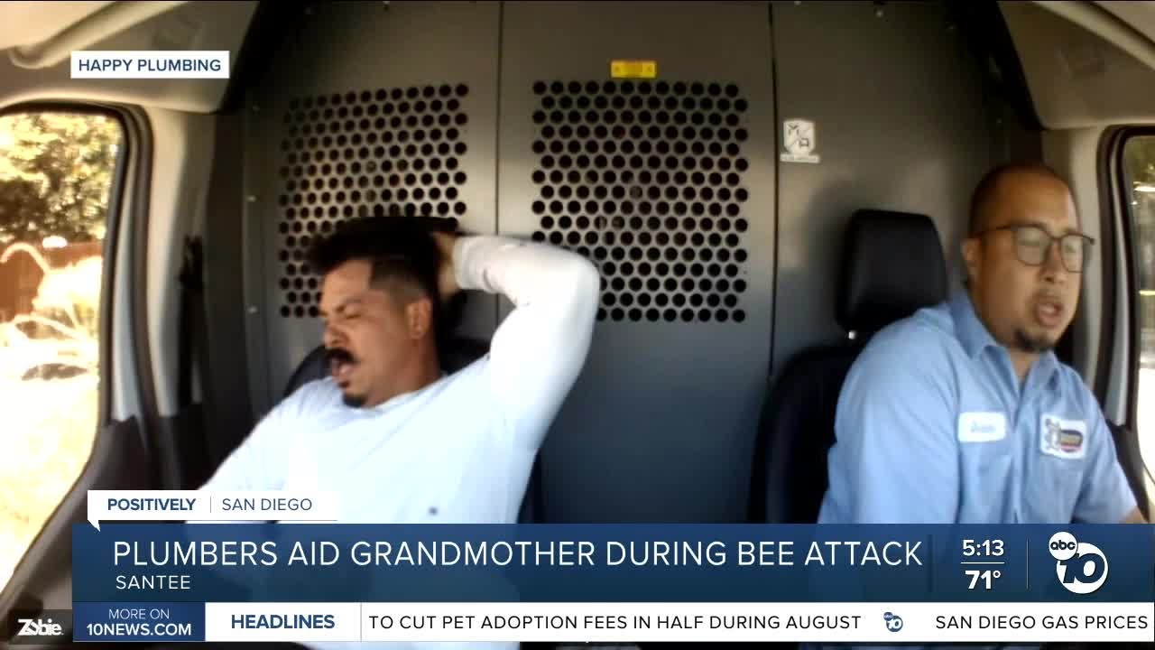 Plumbers rescue grandmother from bee swarm attack in Santee