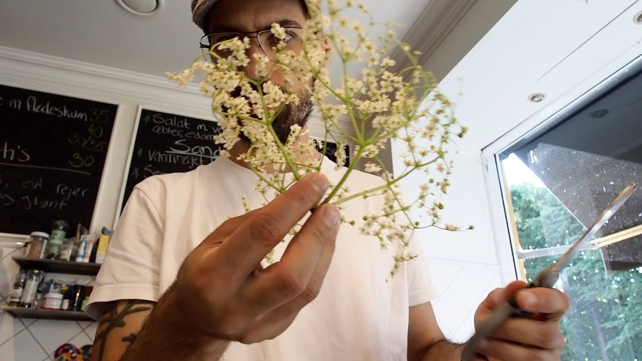 Lav din egen hyldeblomst snaps!