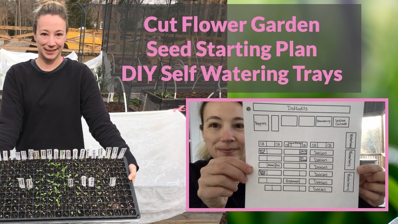 Cut Flower Garden Seed Starting Plan and DIY Self-Watering Seed Trays