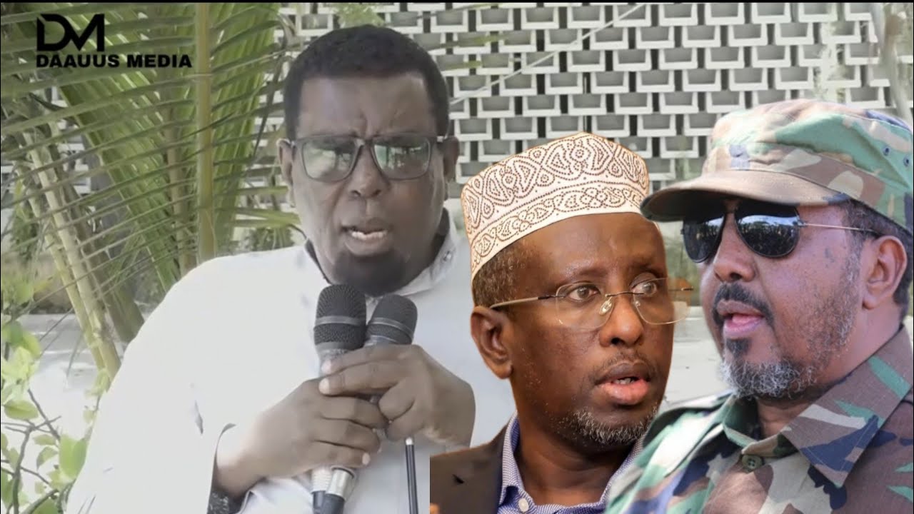DAAWO: Nabadoon Abaabul oo ka Hadlay Khilaafka Shariif & Md Xasan iyo dagaalka Alshabaab