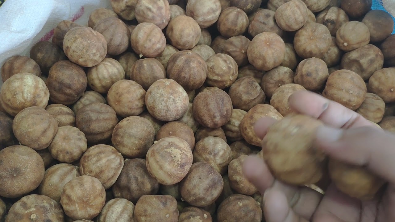 ليمون الفاخر المجفف الصومالي، من اجود الأنواع الليمون في العالم Luxury dried Somali   lemon🇸🇴