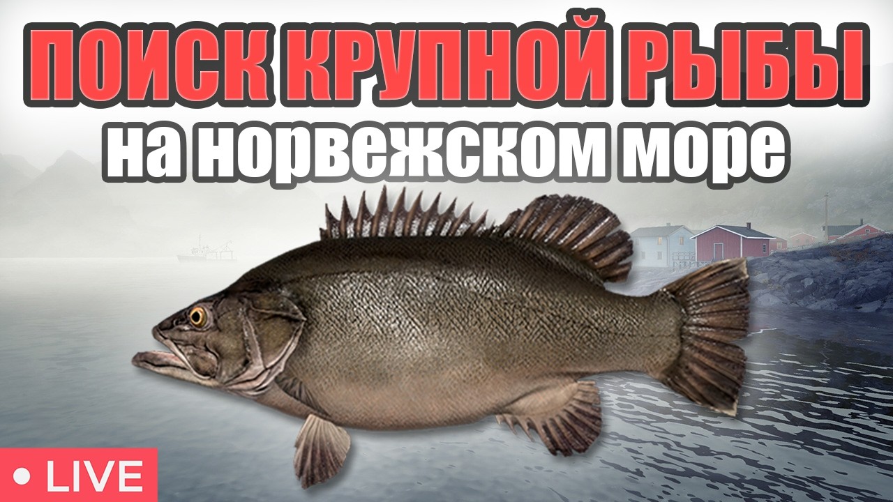 РР4 СТРИМ • ПРОВЕРЯЕМ ТОЧКИ НА НОРВЖЕСКОМ МОРЕ  И ФАРМИМ СЕРЕБРО  •   РУССКАЯ РЫБАЛКА 4
