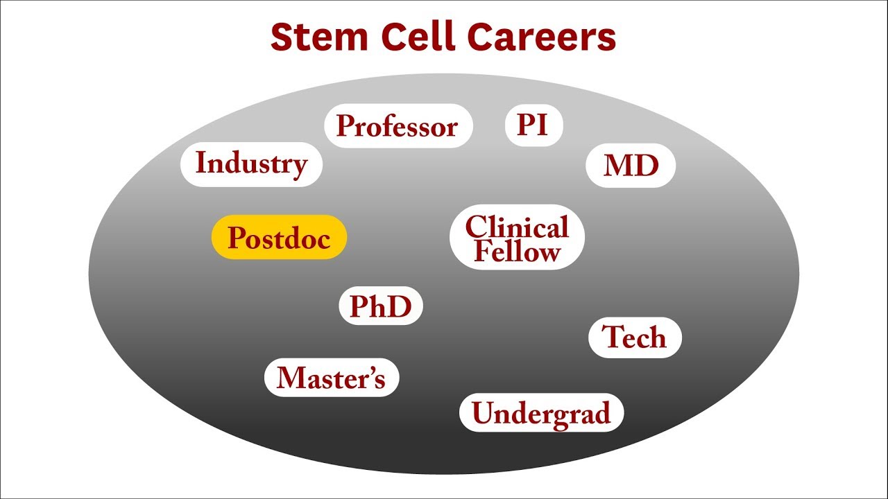 How to do a postdoc: Advice from USC Stem Cell postdoc Jorge Contreras