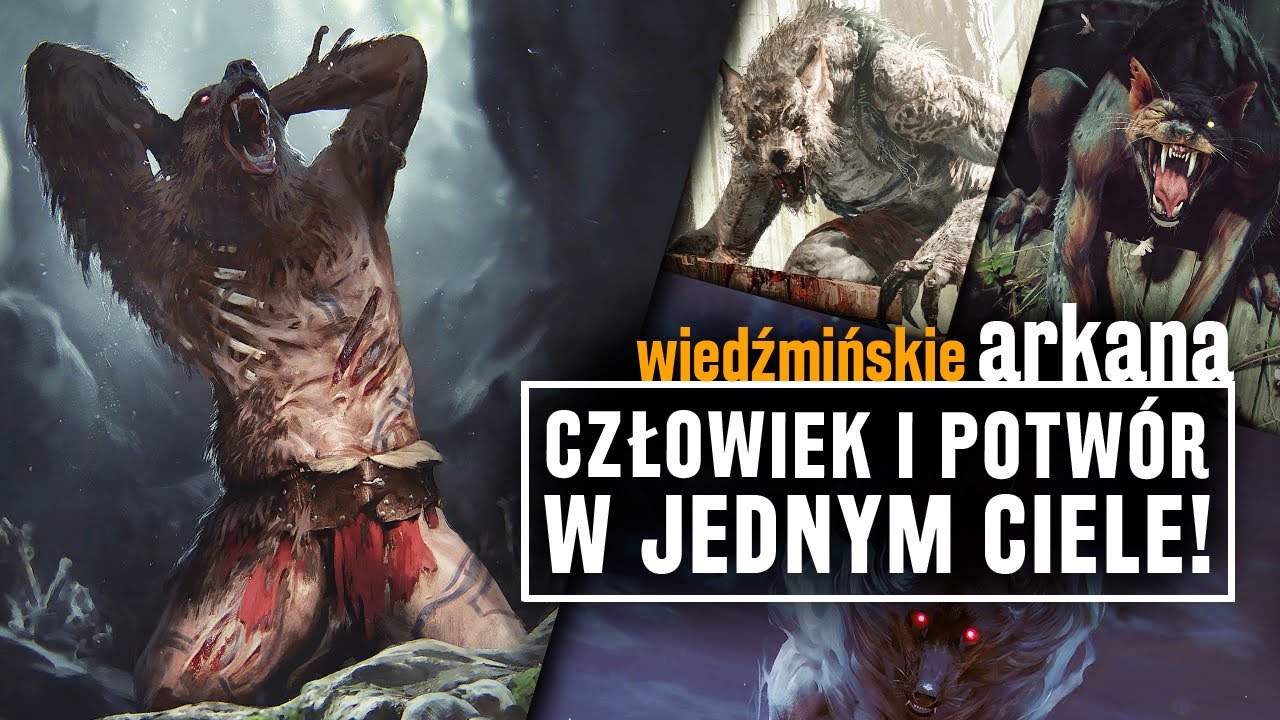 Teriantropy i Anteriony w WIEDŹMINIE! O człekokształtnych potworach i KLĄTWACH