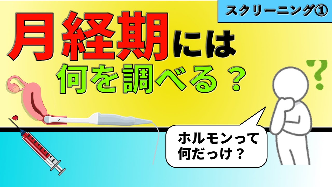 3.【不妊検査①】月経期の超音波・採血では何が分かる？