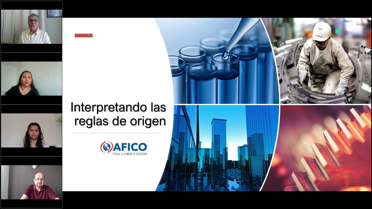 Interpretaci&oacute;n de las Reglas de Origen - Afico