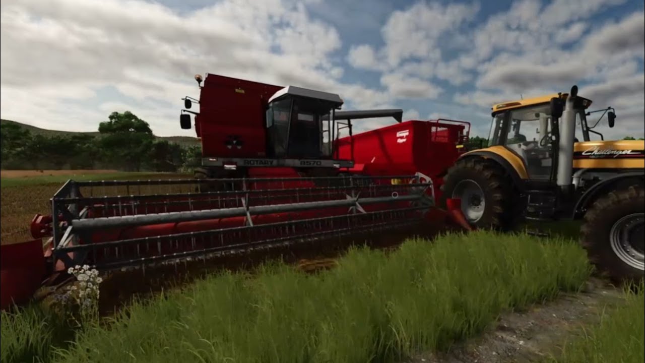 FS25 | Harvesting Canola Using the Massey Ferguson MF 8570