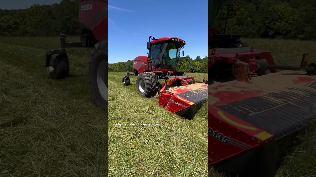CASE IH WD2105 Windrower #bigtractorpower #caseih #mowing #hay #tractor #automobile