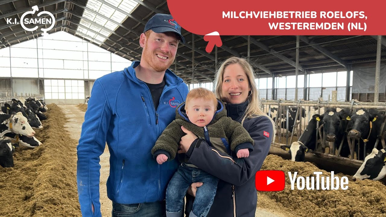 Milchviebetrieb Roelofs Westeremden (NL)
