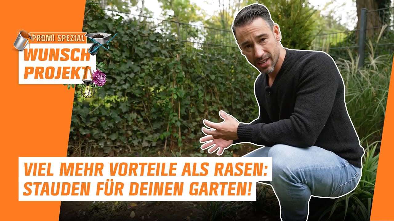 Bienenfreundlich und pflegeleicht: Stauden anstelle von Rasen! |&nbsp;Expertentipps von Davit Arican