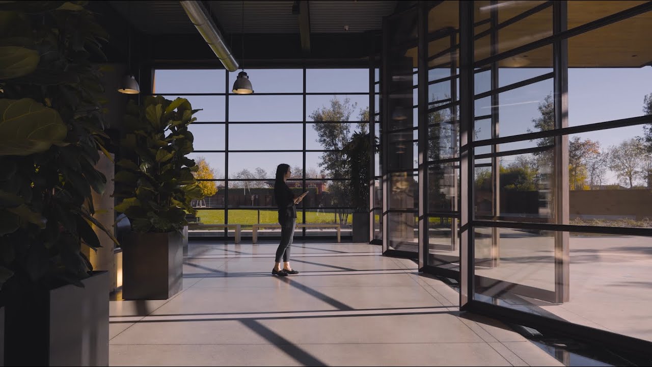 automated pivot doors