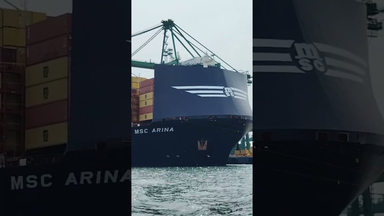 Exploring the World's Largest Ship MSC ARINA