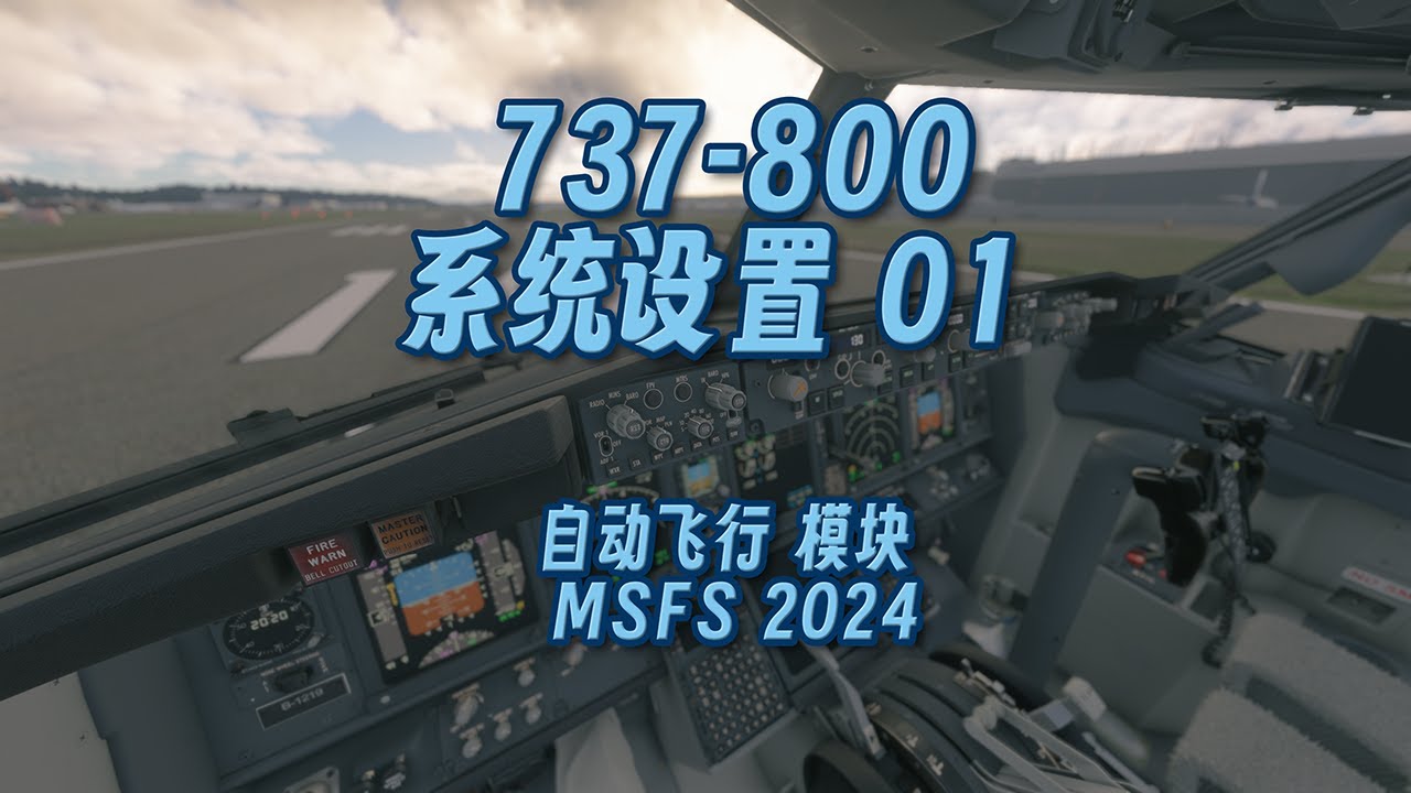 波音 737-800 设置01 自动飞行设定