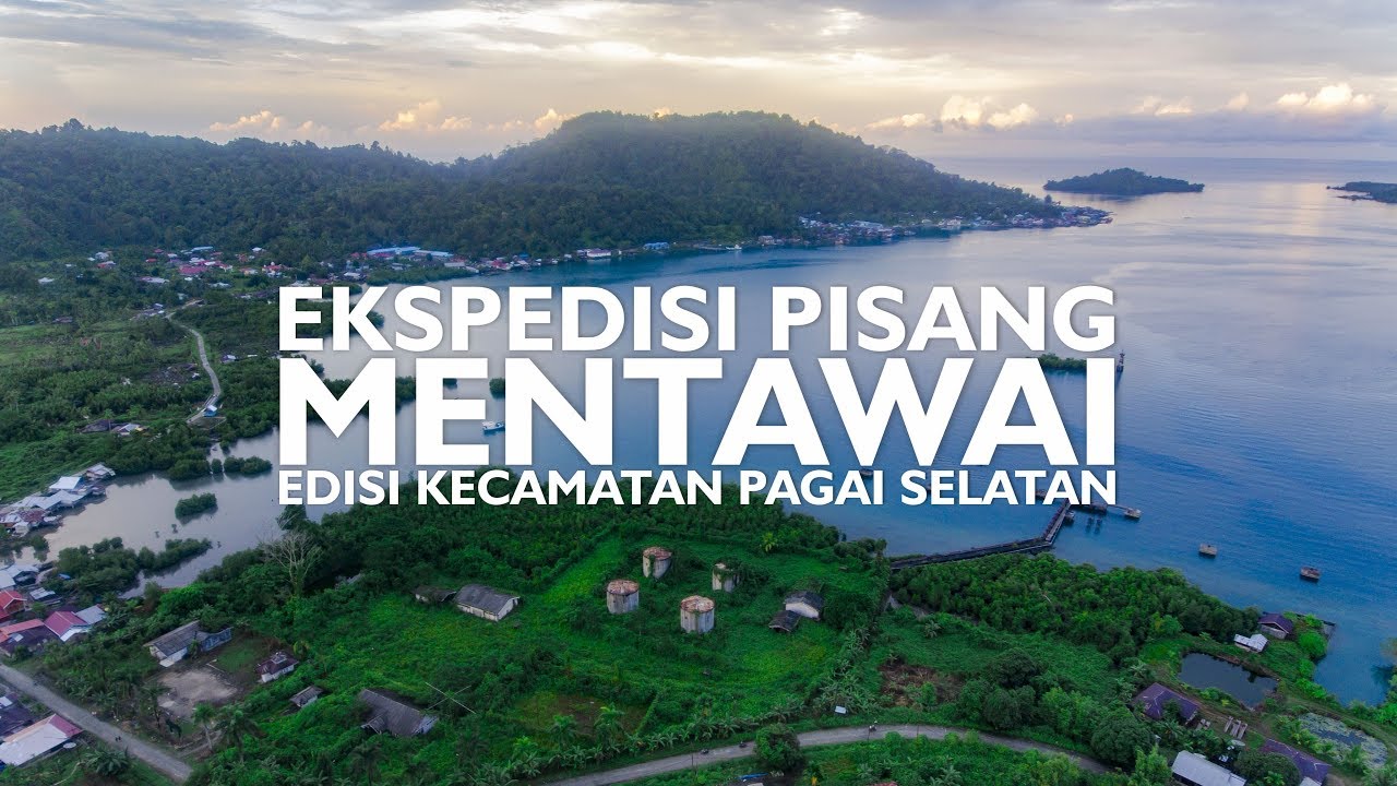 EKSPEDISI PISANG MENTAWAI | Edisi Kecamatan Pagai Selatan